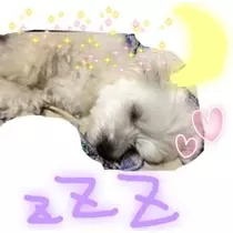 ゆま(20)