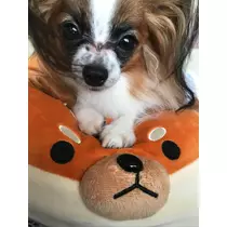 ティナ