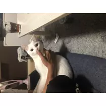 . みさと