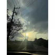 せいか