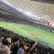 あおい