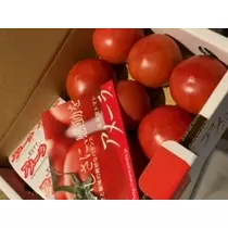 桐島 りゅう