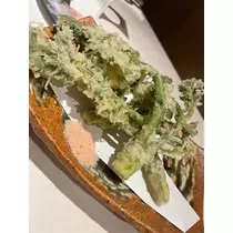 美月