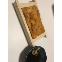 椿 はるな