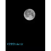 紫音