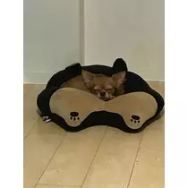 ユカ