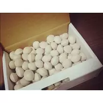 桃瀬 百華