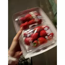 せいか