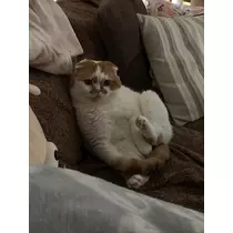 れみ