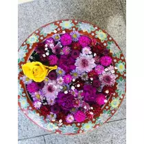 紫月 あやか