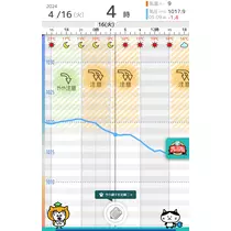 佐倉 里緒
