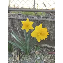 ちひろ