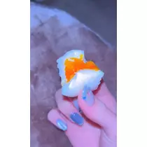 西蓮寺 ひかる