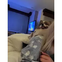 あいら