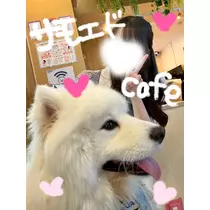 あい