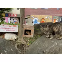 ゆう
