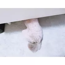 荒木 ナツミ