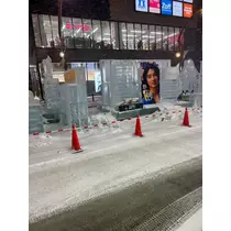 藤本 さや