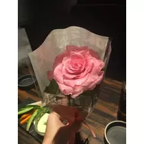 白石 愛莉