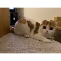 るな