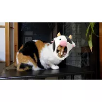 りか