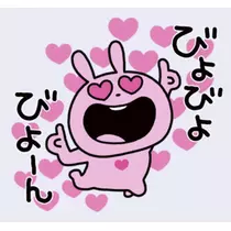 司