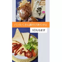 紫音
