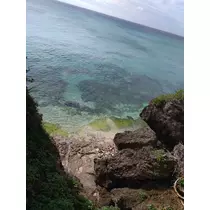 水田 まり