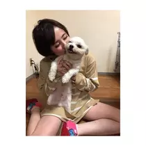 蓮
