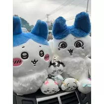 美波 ななみ