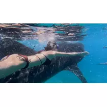 るい