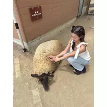 みお