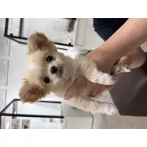 ゆな