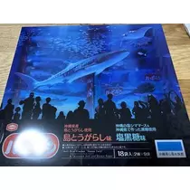 白石 愛莉