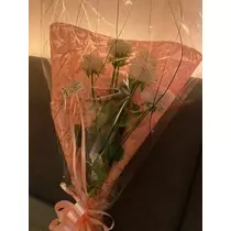 白石 愛莉