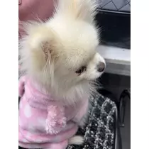 あゆ