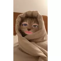 ルル