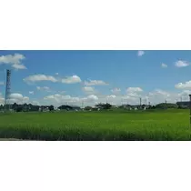 りか