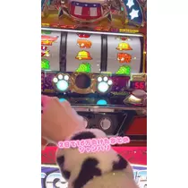 お茶の水うらん