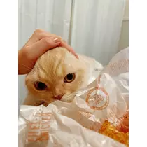 あおい