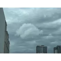 華宮 りんか