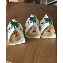 緑 四葉