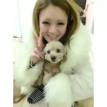 姫花