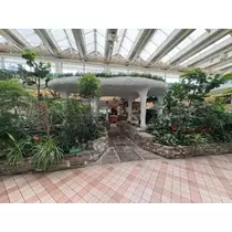 宝條 夏恋