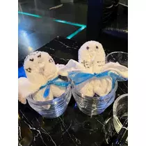 もえの