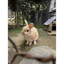 いる