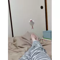 ゆな