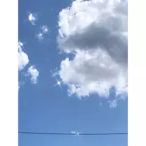 エリカ