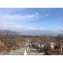 せいか