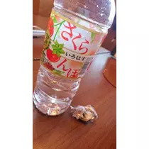 ひな